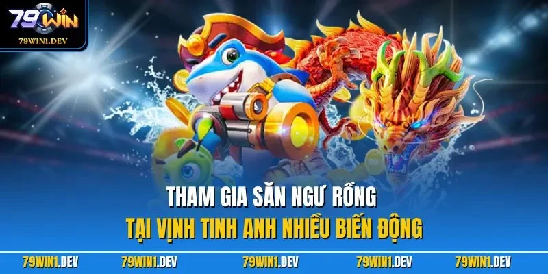 Tham gia săn ngư rồng tại vịnh tinh anh nhiều biến động